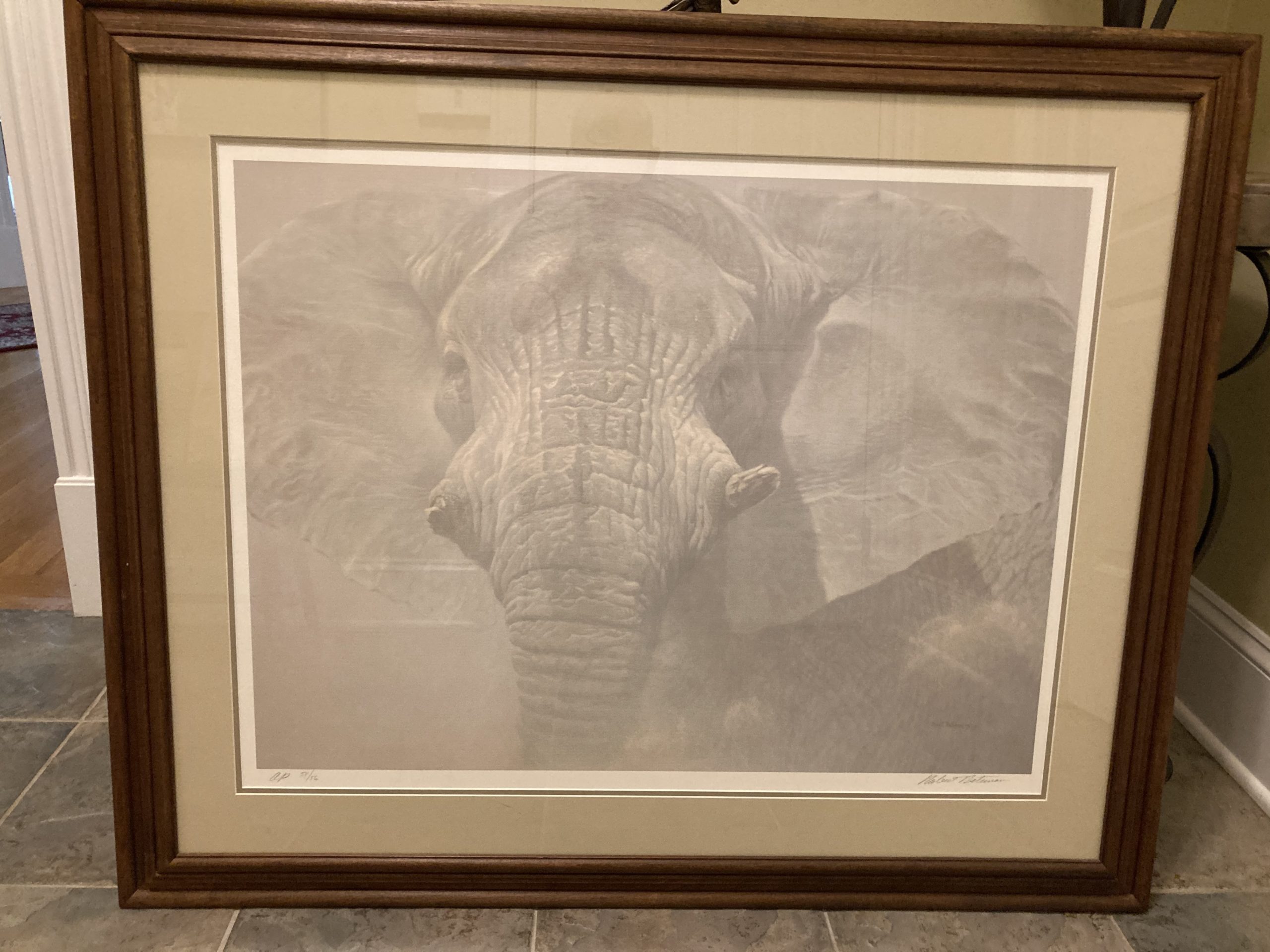 "The Wise One" framed elephant print by Robert Bateman (Artist Proof