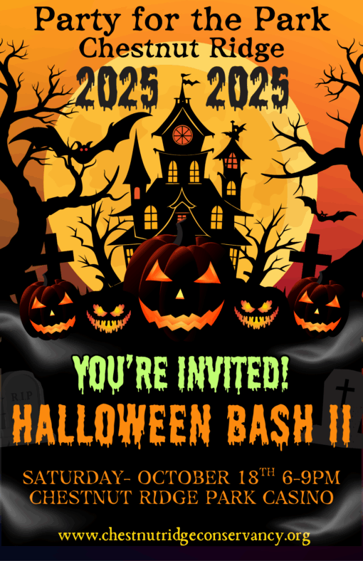 2025 Party for the Park Tickets